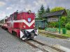 Museumsbahn Przeworska Kolej Waskotorowa, Polen